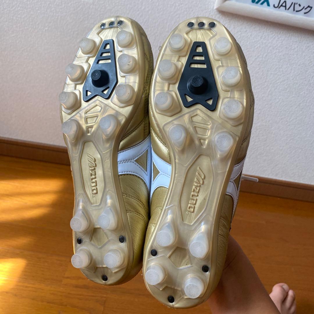 の*ぶ様 モレリアul