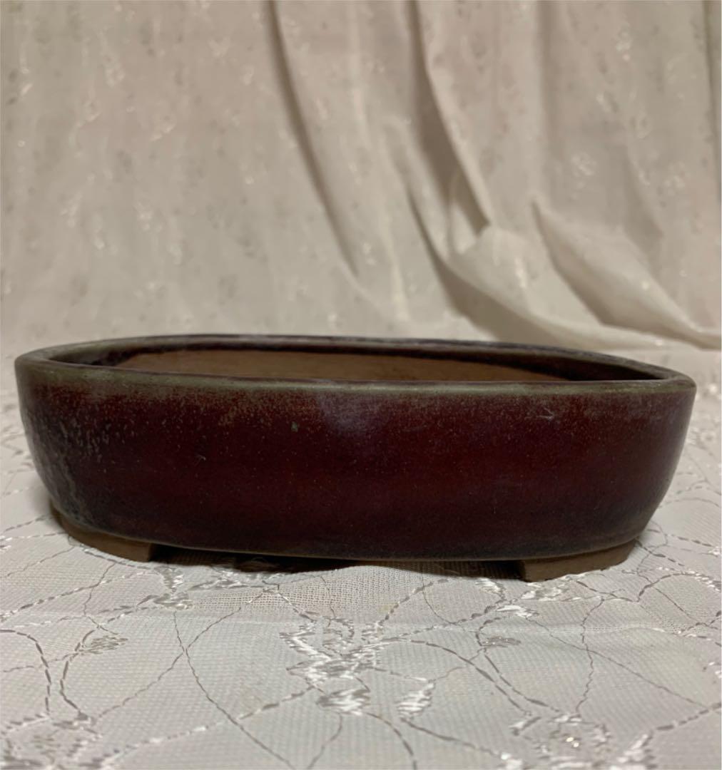 盆栽鉢　落款あり　楕円