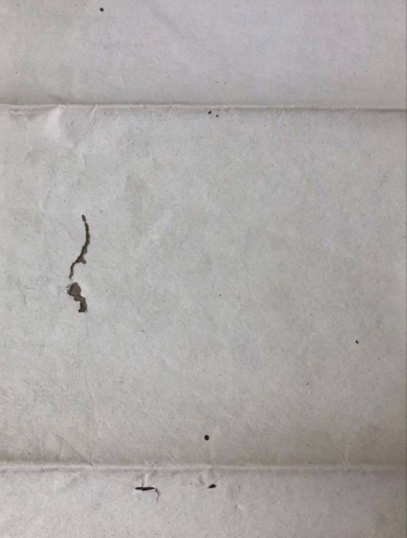 明治24年発行　宗和政太郎　津田留楠「高野山實地詳細現図」古地図　古文書