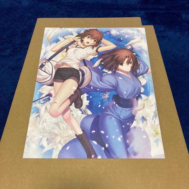 空の境界 全画集 + 未来福音 extra chorus [限定愛蔵版]