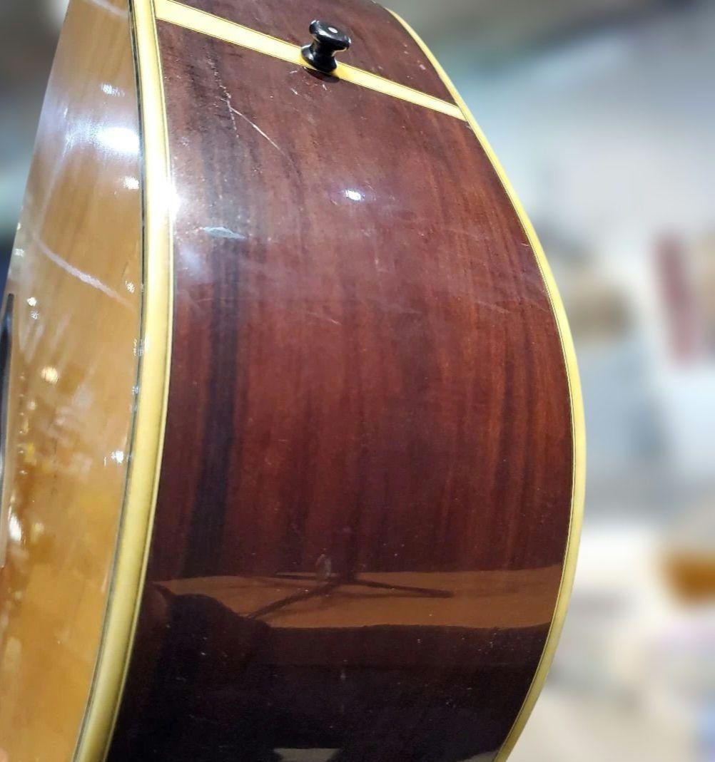 Morris W-40 アコースティックギター