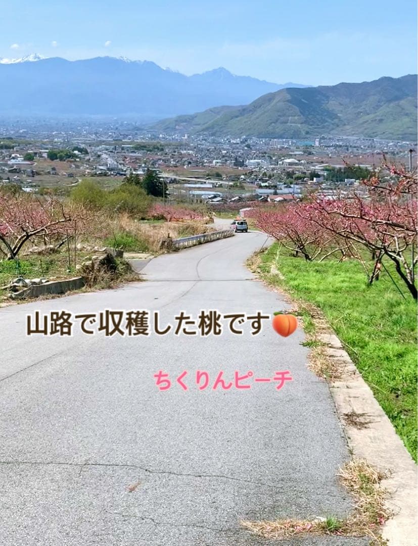 よっしー　山梨一宮産の山路で獲れた美味しい桃　特大2キロ箱に6個⭐︎