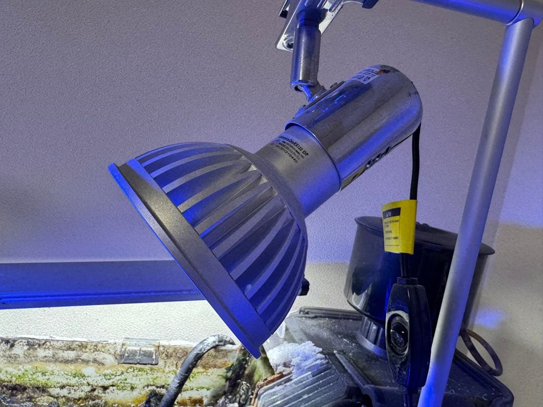 2個セット　ボルクスジャパン　グラッシーレディオ　RX122DP