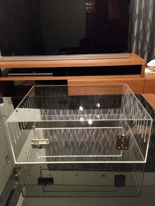 爬虫類ゲージ アクリルゲージ 【 No.2 】