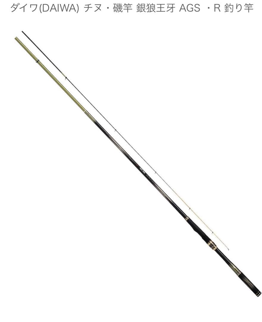 ダイワ 20銀狼王牙AGS 08-50