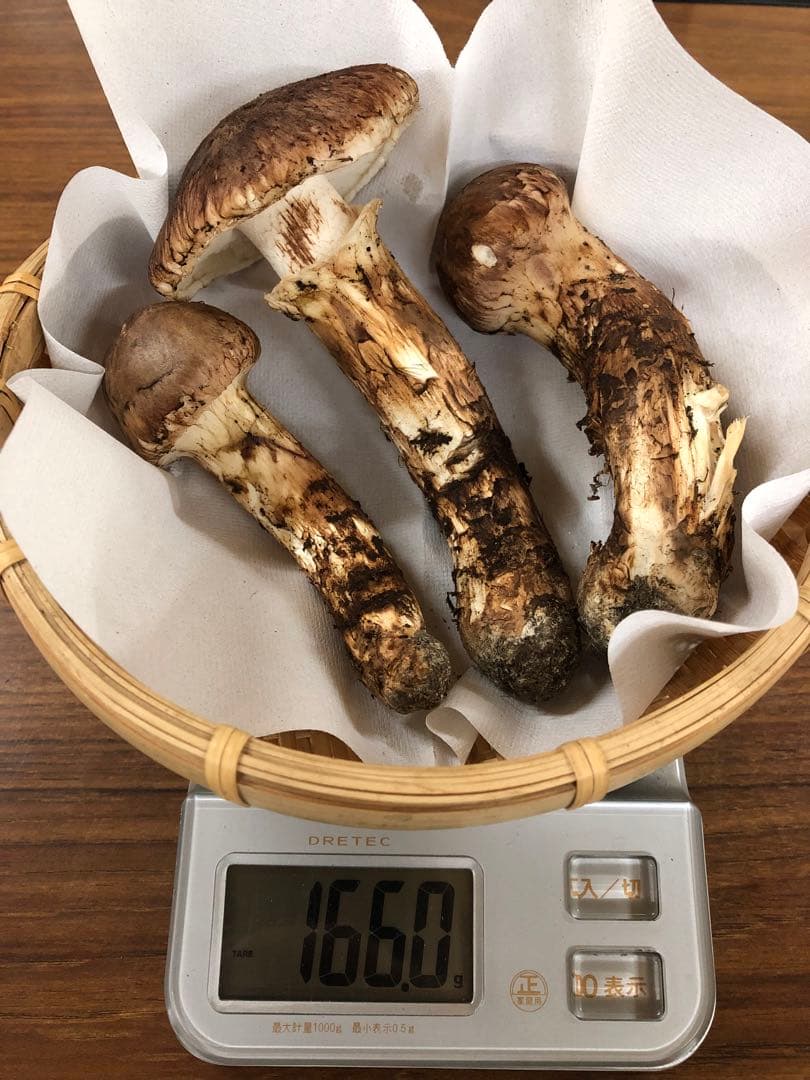 岩手県産　訳あり天然松茸（166g）