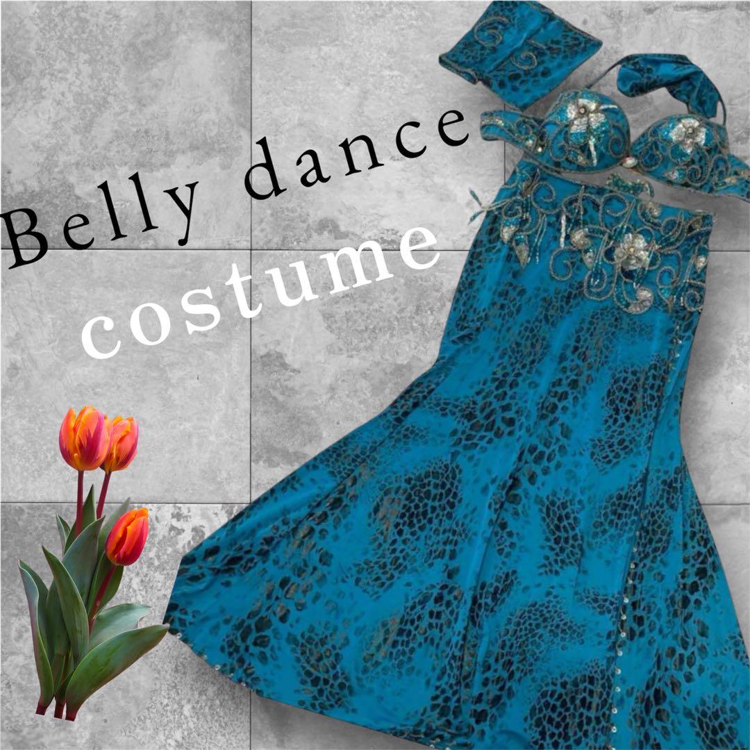 ⚠️早い者勝ち‼️ 美品❤️ベリーダンス　衣装　セットアップ　Ｌ