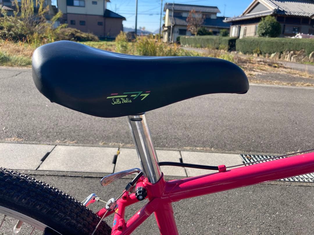 自転車本体 ARAYA Muddy Fox OLD MTB 26