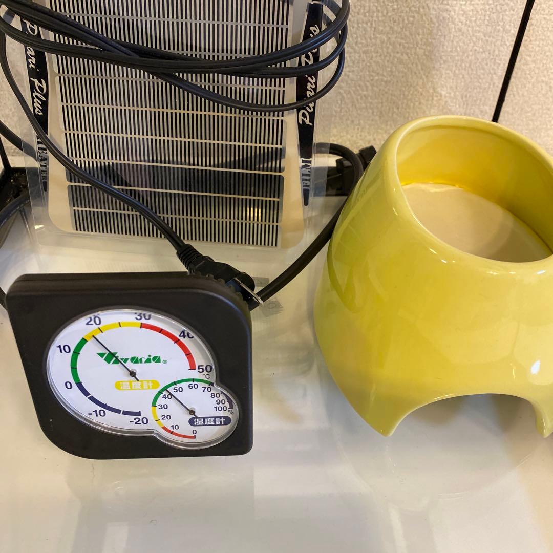 グラステラリウム3030 ③ 飼育一式セット 爬虫類