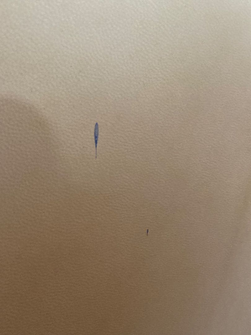 MEINL フレームドラム 20インチ 山羊皮 マイネル 民族楽器