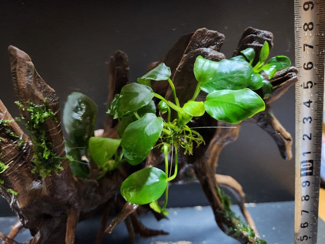 商談中ページになります。