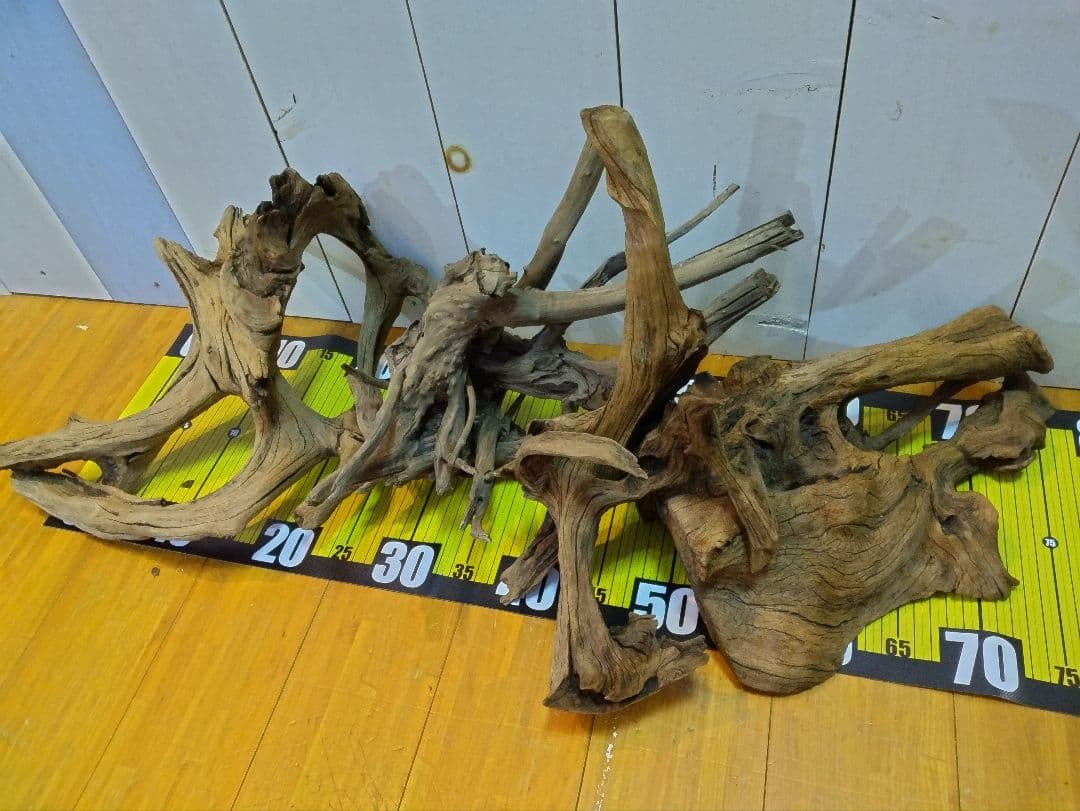 【送料無料、早い者勝ち】良型流木4点セット