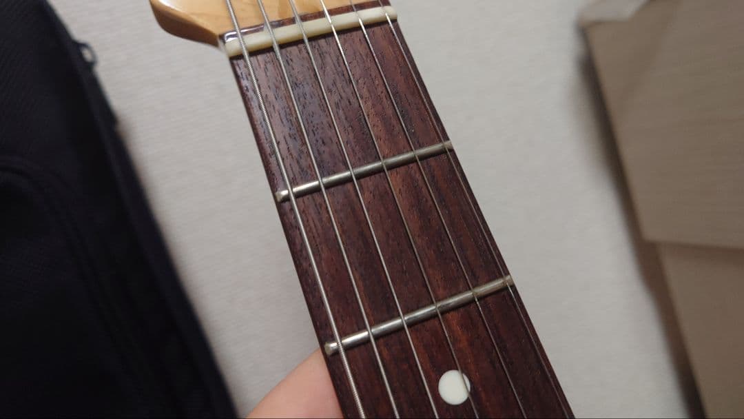 エレキギター FUJIGEN / NCCY-10R FGN サイクロン