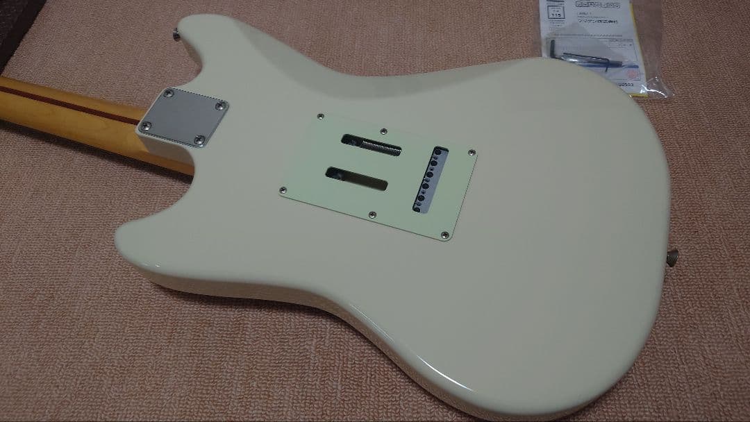 エレキギター FUJIGEN / NCCY-10R FGN サイクロン