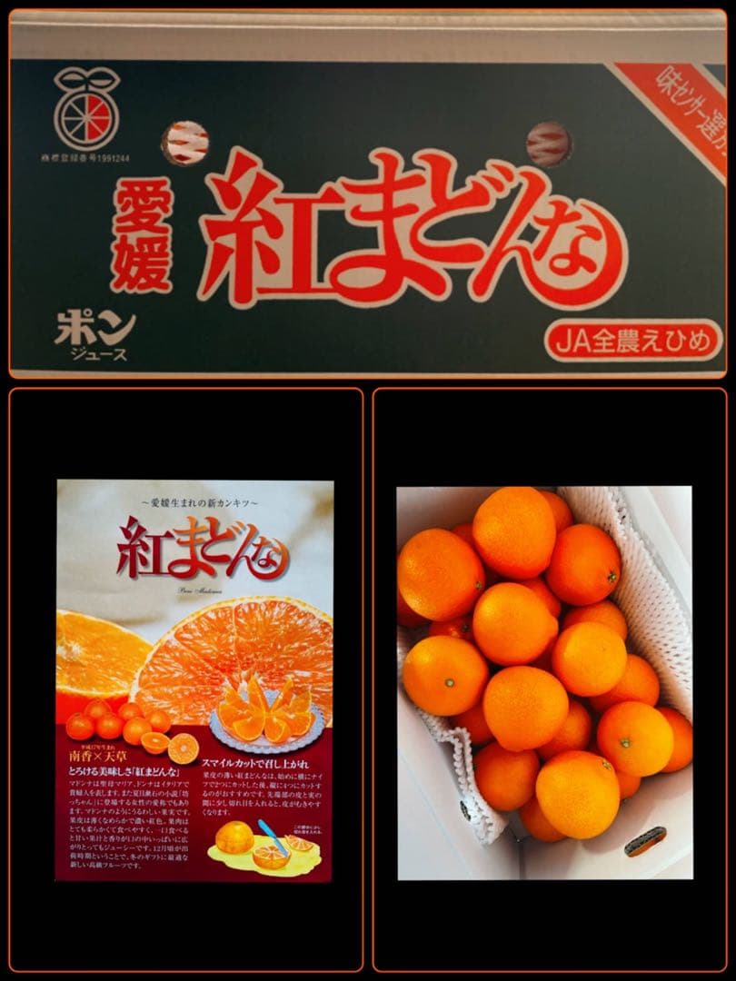 専用出品　エビカニ様　5kg2箱　10日着