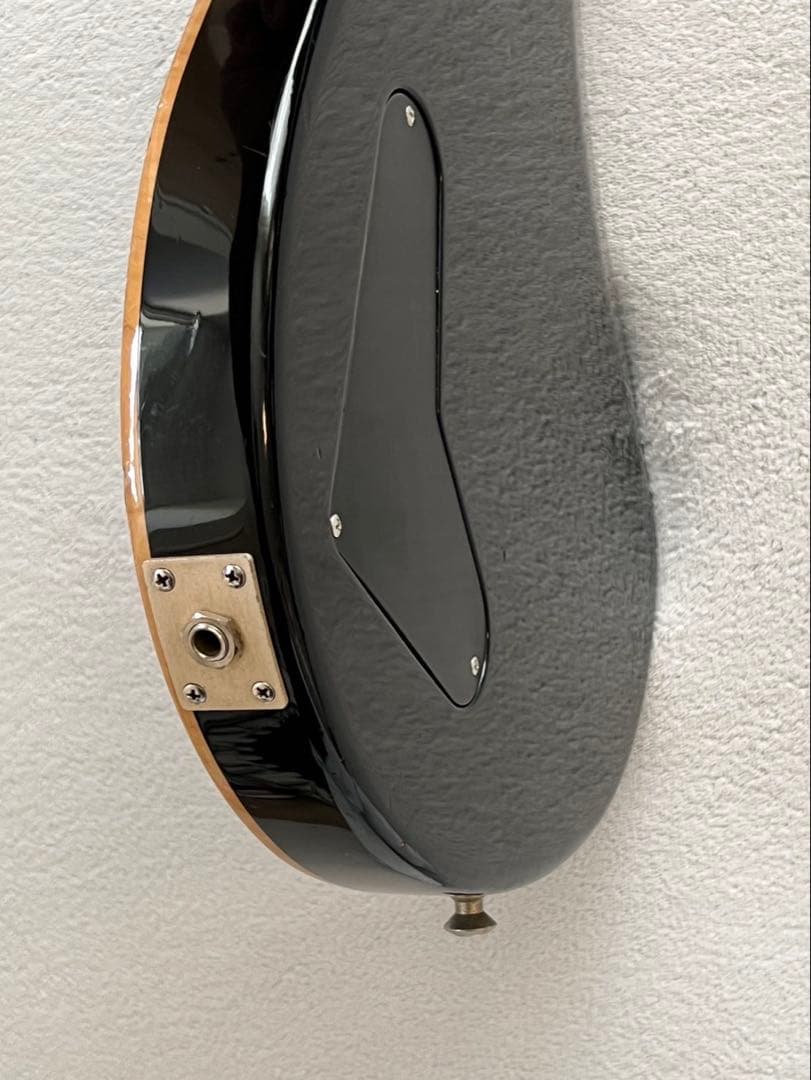 【レア 1st Year コアモデル】PRS McCarty Standard