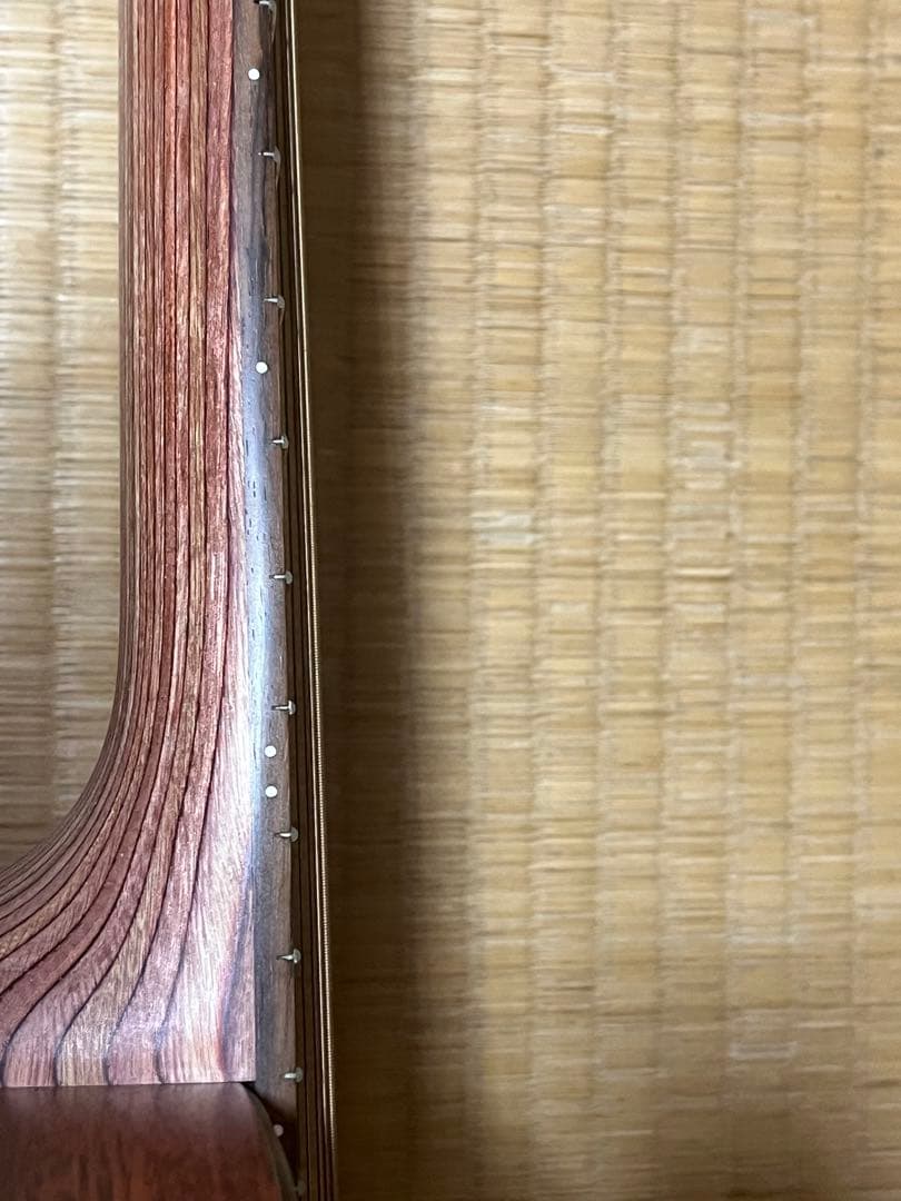 【美品】 Martin & Co. LXM リトルマーチン 2007年製