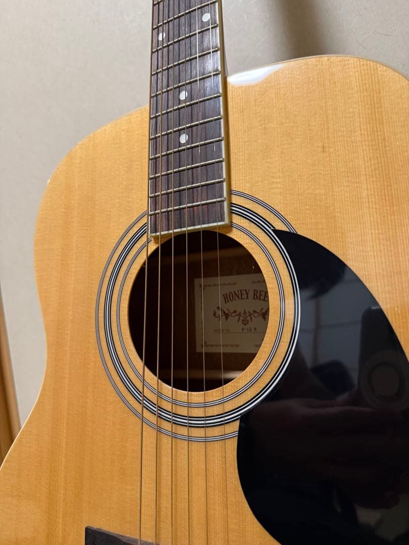 【初心者におすすめ】HONEY BEE アコースティックギター