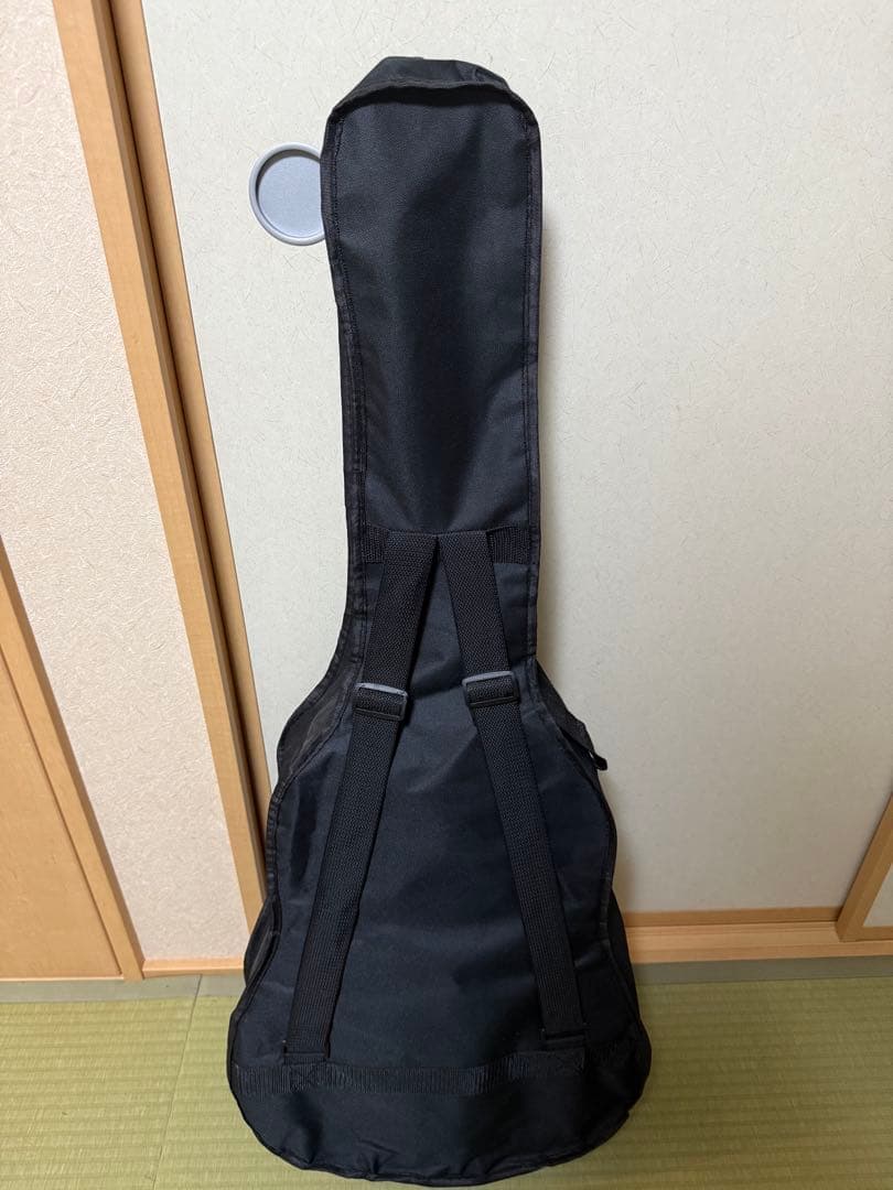 【初心者におすすめ】HONEY BEE アコースティックギター