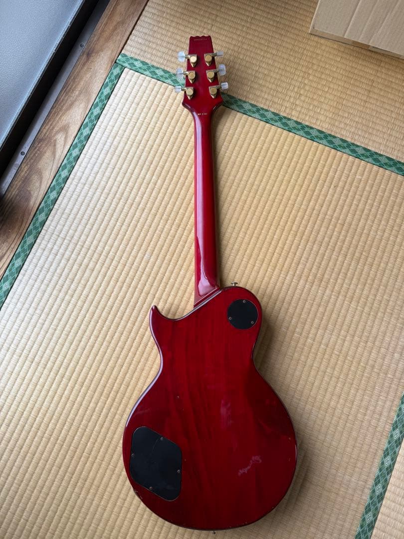 アリアプロ2 レスポールタイプ　3ハム