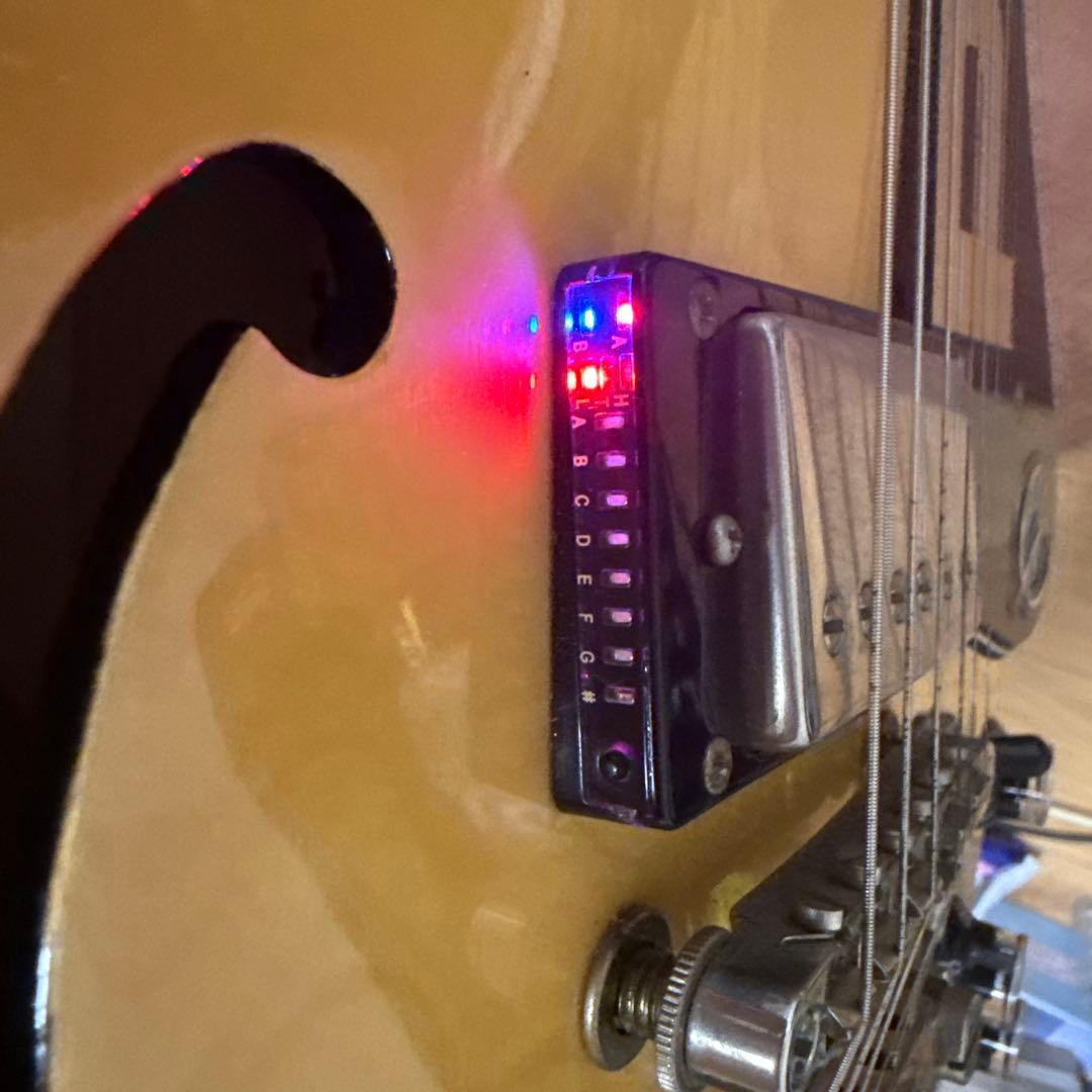 Epiphone ULTRA-339 宅録　es-335 es-339 レア