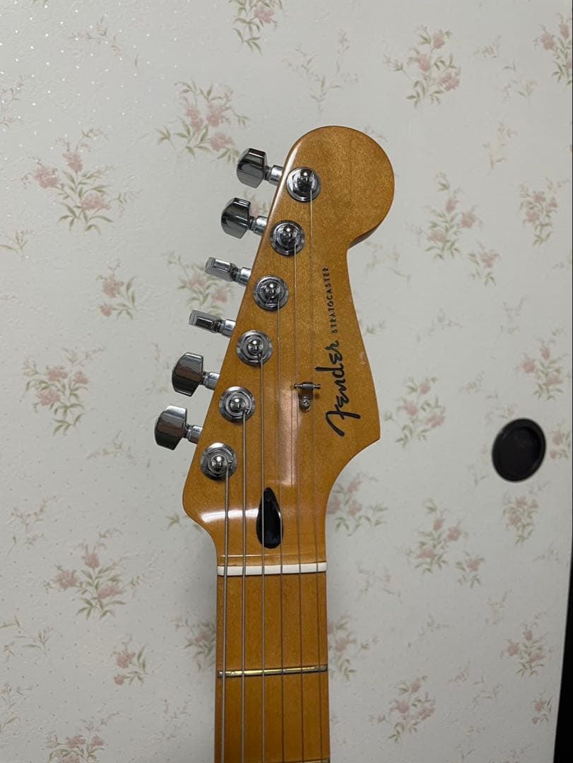 ギター Fender Player Plus Stratocaster