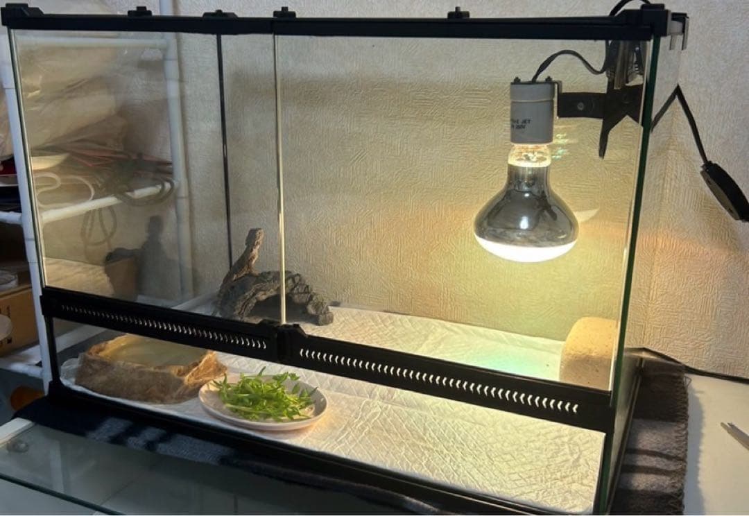 爬虫類 ケージ 飼育ケース 両開きガラスケース