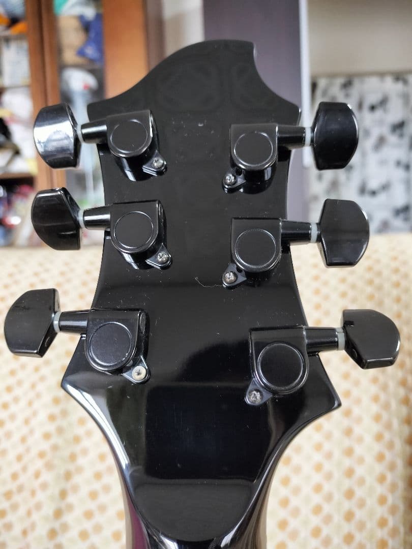 GrassRoots SUGIZO モデル  【改造あり】