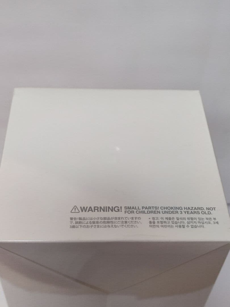 未開封・正規品　ラブブ Big into Energy アソートボックス 9個