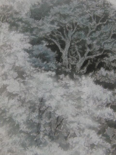 川崎鈴彦、【樹々】、希少な額装用画集画、新品高級額 額装付、状態良好