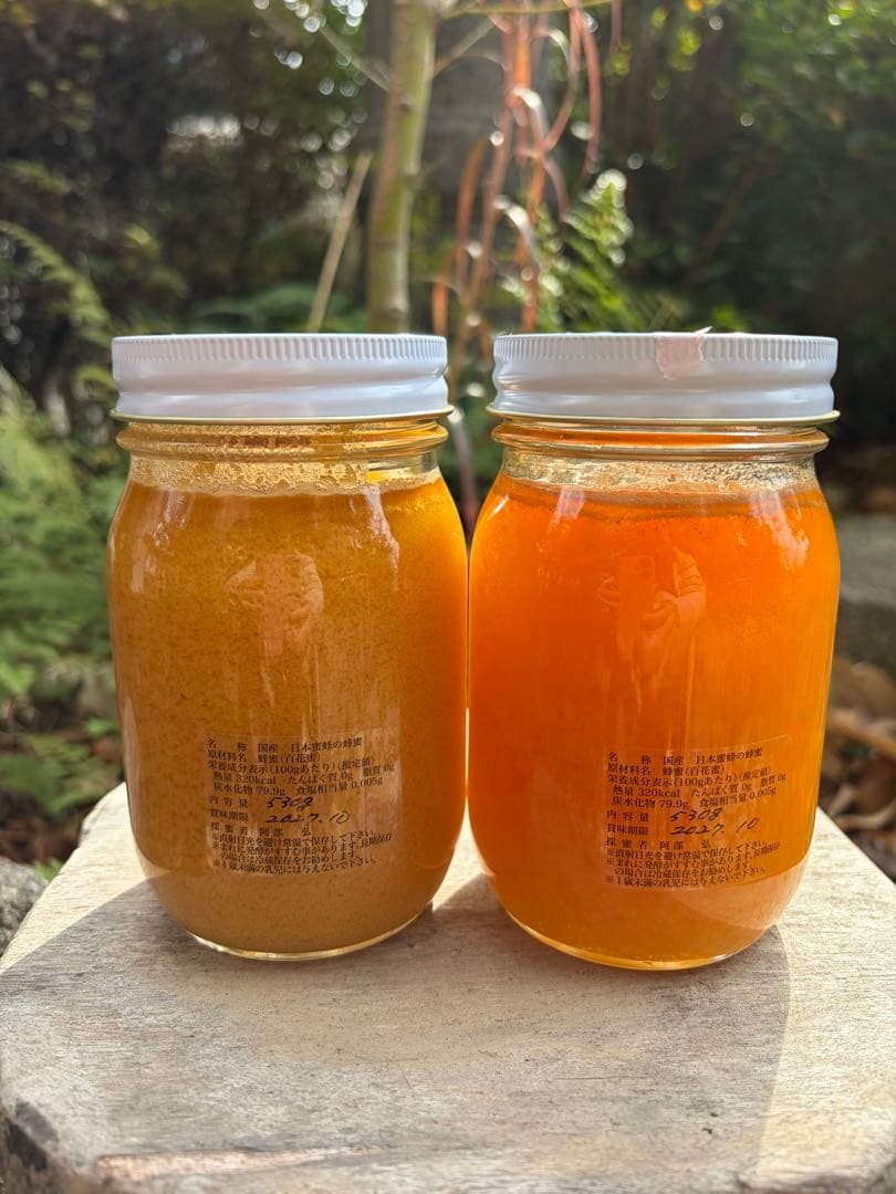 ハチミツ　日本蜜蜂のはちみつ　奥山の奥の蜂蜜結晶化進行中と花粉入り蜂蜜結晶化