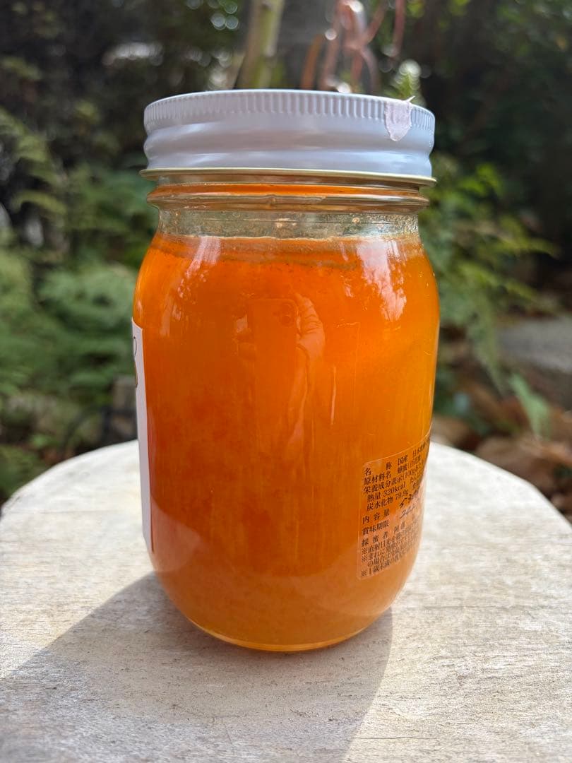 ハチミツ　日本蜜蜂のはちみつ　奥山の奥の蜂蜜結晶化進行中と花粉入り蜂蜜結晶化