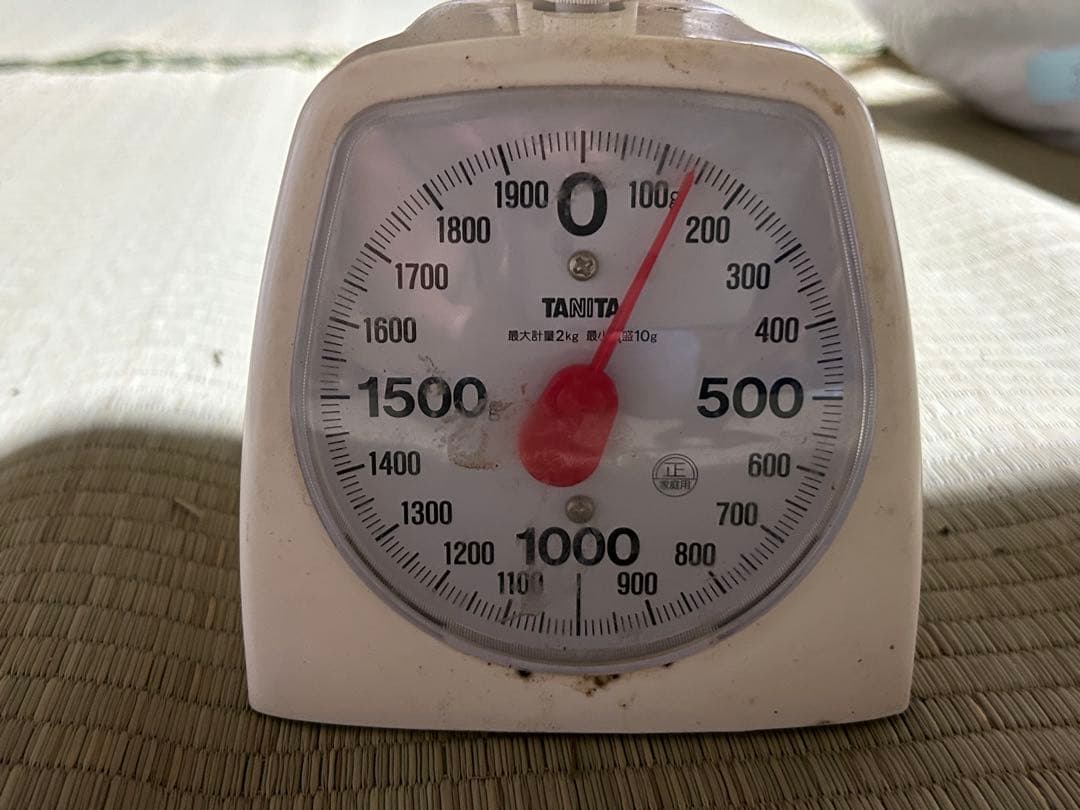 ☆信州産松茸☆今現在約140グラム☆まつたけ☆クール便送料着払い☆国産松茸☆L☆