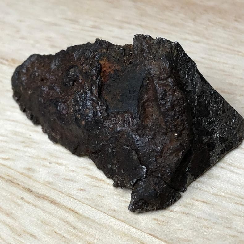 隕石 アルタイ隕石　原皮付き　石鉄隕石　パラサイト隕石　4点　重さ39