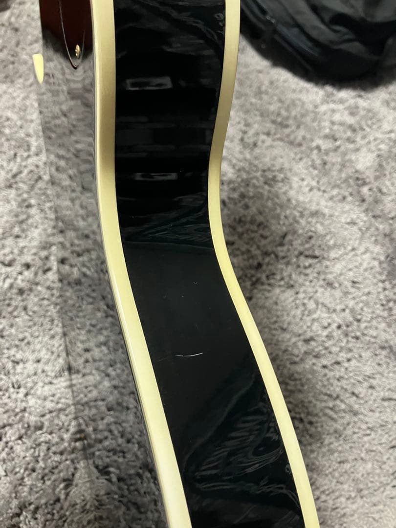 HISTORY DIGNITY レスポール エレキギター　ソフトケース付き