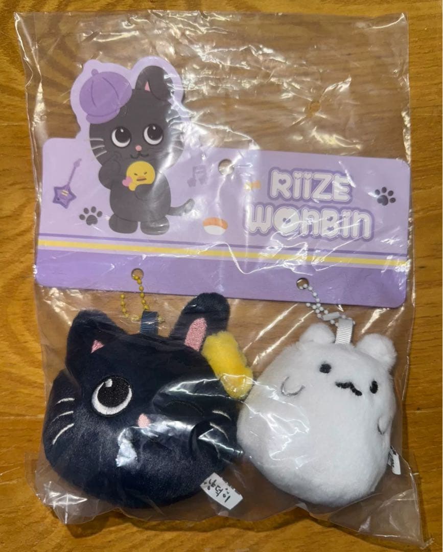 RIIZE wonbin ウォンビン バッグ 中国限定