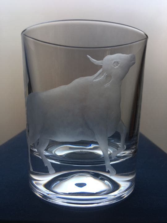 牛 タンブラー(オールドファッションタンブラー)