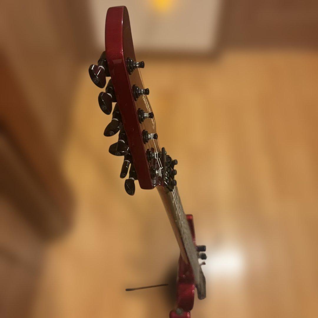 金ロゴ FERNANDES FR-55 アクティブ トレモロアーム・ケース付