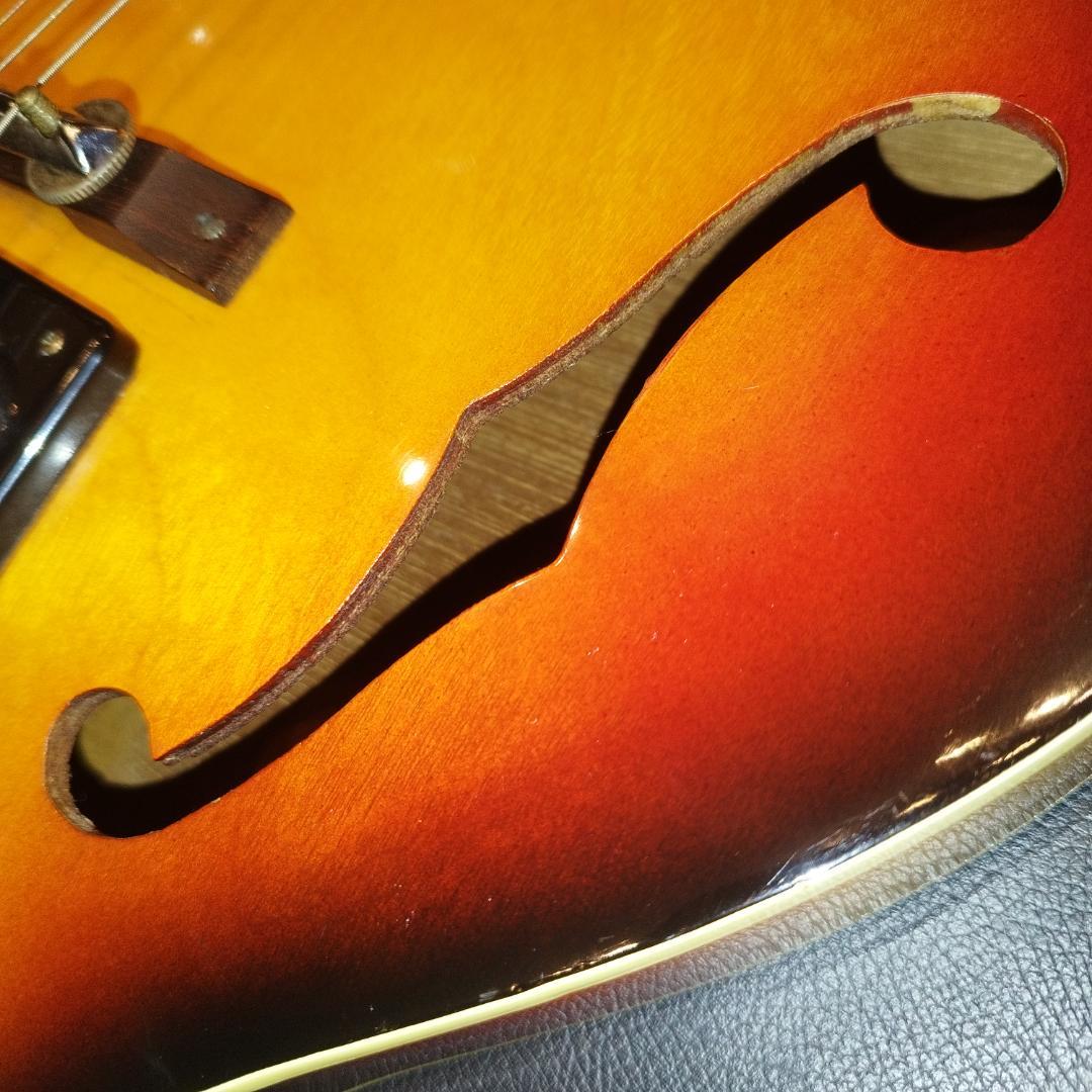 Norma ノルマ 60年代製 ビザール エレキギター　Tomboフルアコ