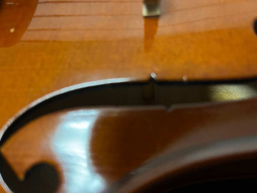 Roderich Paesold PA701J 16inch Viola ビオラ