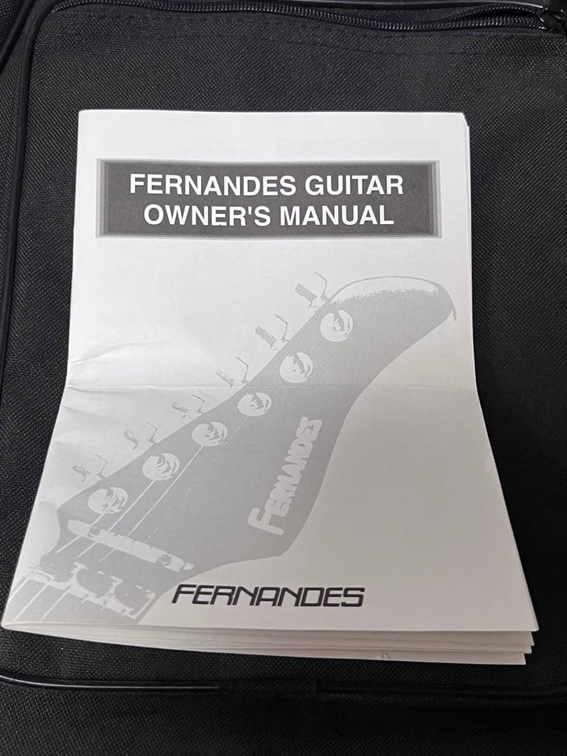 激レア　burny LV-115KK フライングV ラルク　ken ピンクエレキ