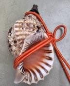 ほら貝・山伏・和楽器（オレンジ紐付き）