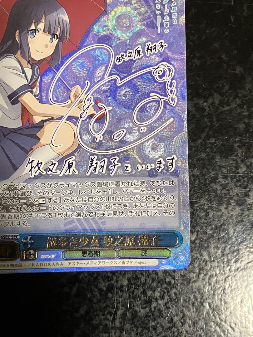 ヴァイスシュヴァルツ 謎多き少女 牧之原翔子 SEC