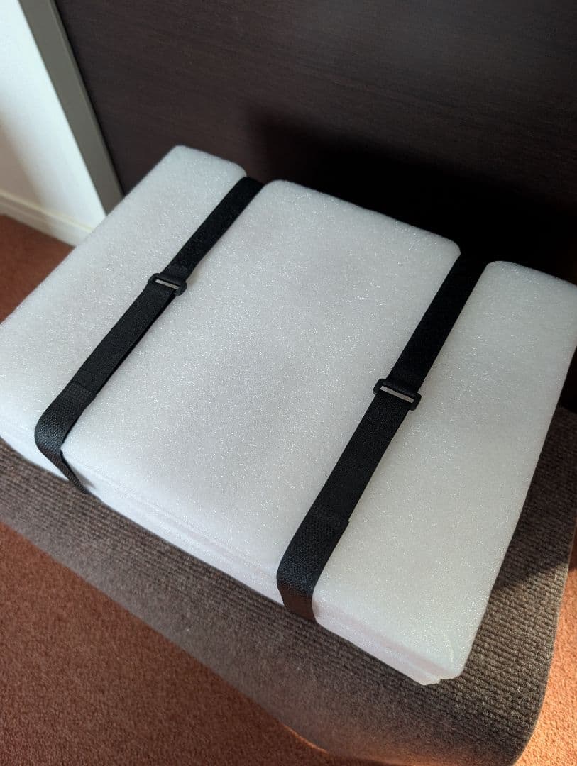 5000体限定 　スーパーサイヤ人 孫悟空 ガレージキットシリアル プレート付属