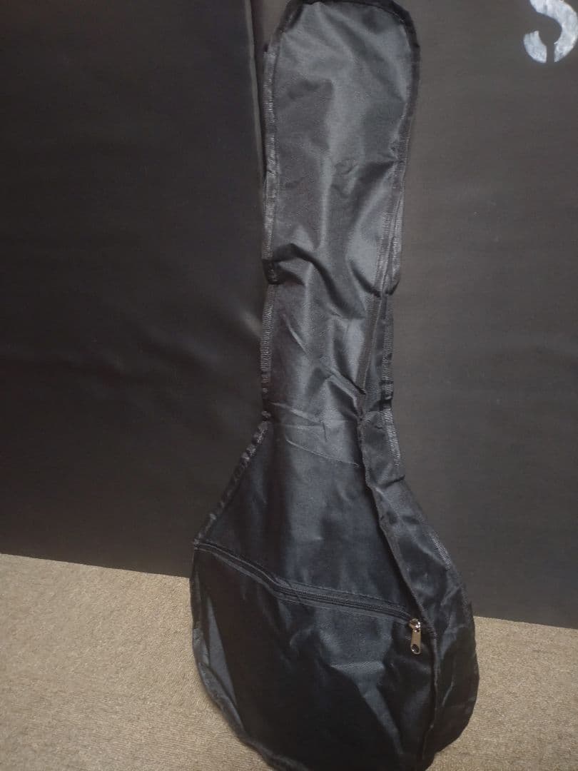 ジャパンビンテージ、木曾鈴木フラットマンドリン