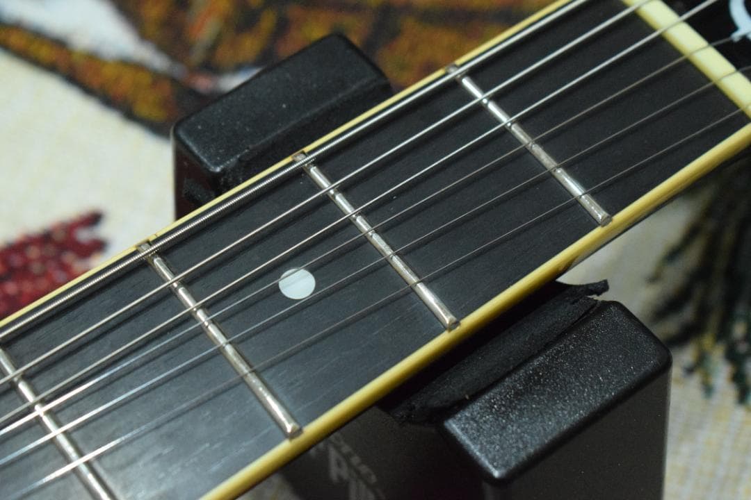 Epiphone WILDKAT TB 純正ハードケース付