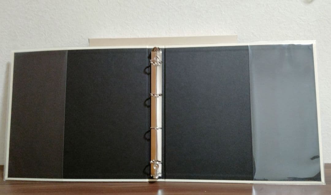 DELFONICS デルフォニクス フォトアルバム L ３冊 粘着台紙47シート