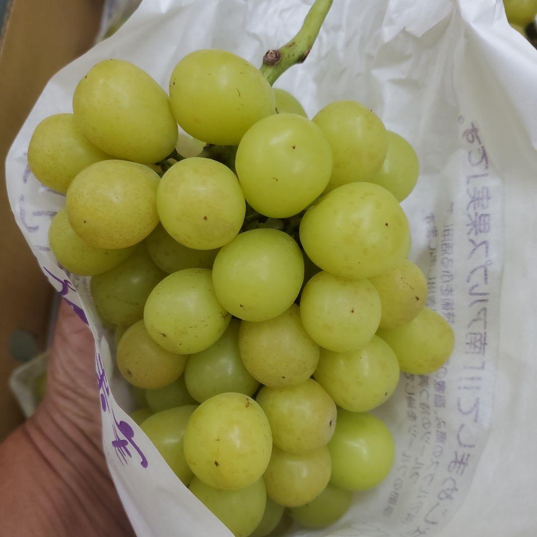 8️⃣ 山梨県産 シャインマスカット １２房入り 箱込み5.4キロ