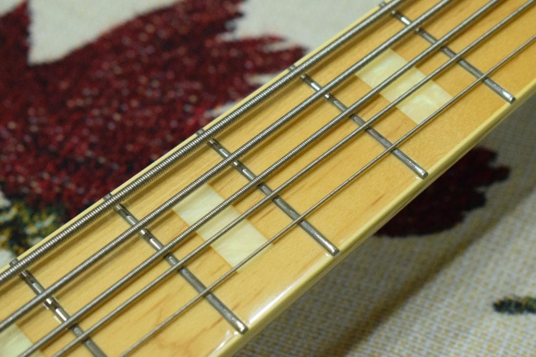 FGN NJB10MBAHV-SBB/01 5弦 状態良好 ケース付
