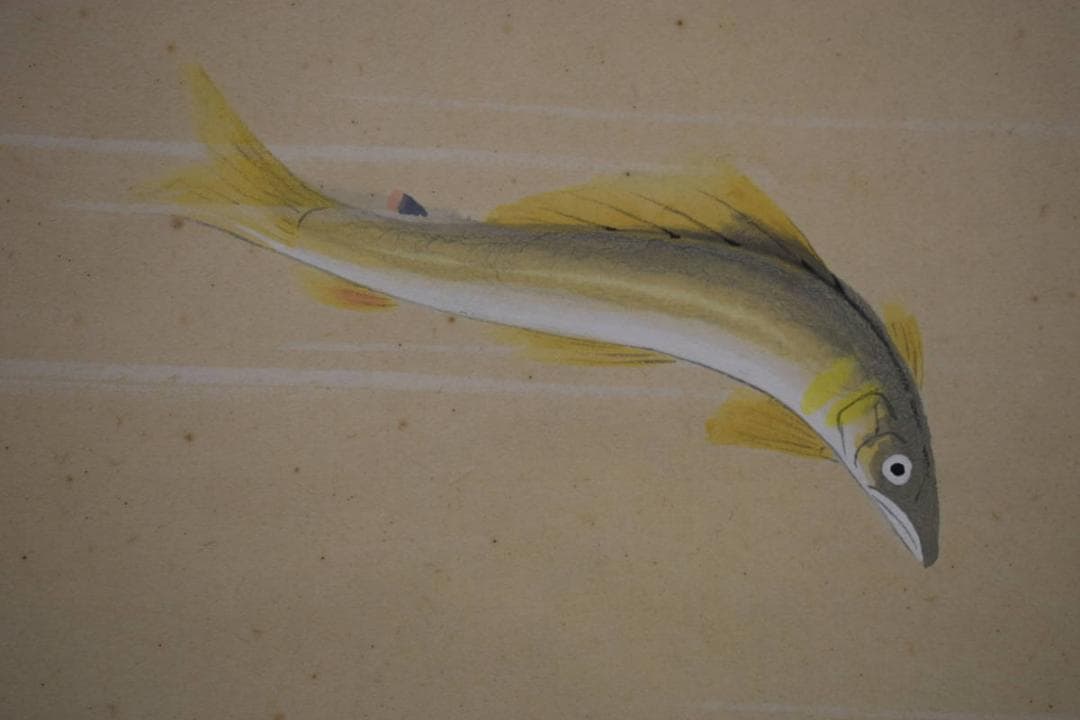 真作/宮尾寿人/鮎図/山水/布袋屋掛軸HK-71